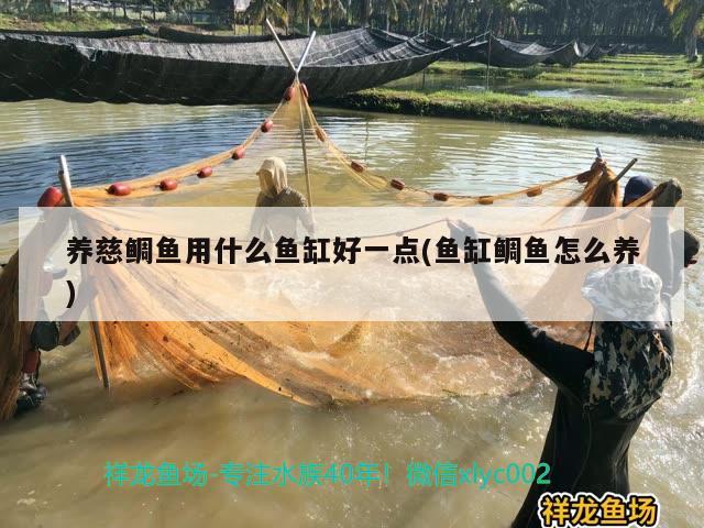 魚缸里面總長綠苔怎么辦（魚缸里面總長綠苔怎么辦呢）