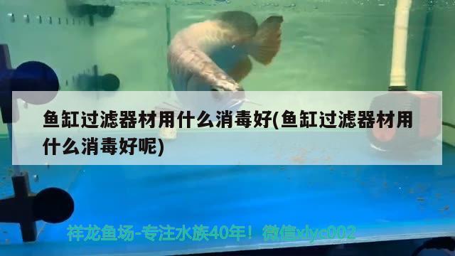 魚缸過濾器材用什么消毒好(魚缸過濾器材用什么消毒好呢) 金老虎魚 第2張