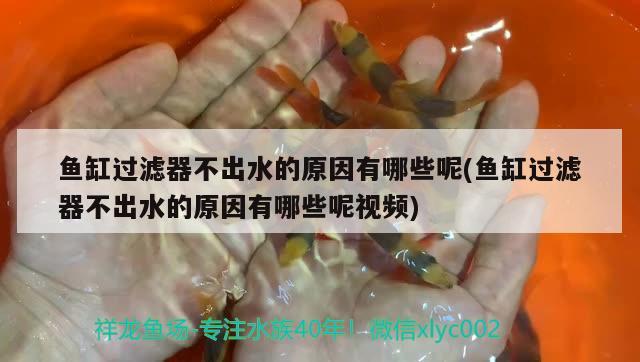 魚缸品牌哪個(gè)好索一怎么樣：我想買個(gè)一米左右的魚缸，請(qǐng)問什么牌子比較好，大概多少錢