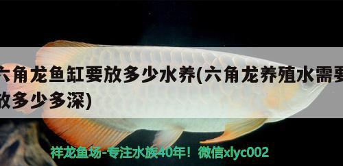 中國(guó)觀賞魚(yú)協(xié)會(huì)會(huì)長(zhǎng)（中國(guó) 觀賞魚(yú)） 廣州祥龍國(guó)際水族貿(mào)易 第1張