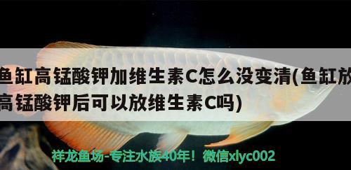 魚缸水泵進水口方向：魚缸水泵進氣管出水的原因 魚缸水泵 第2張