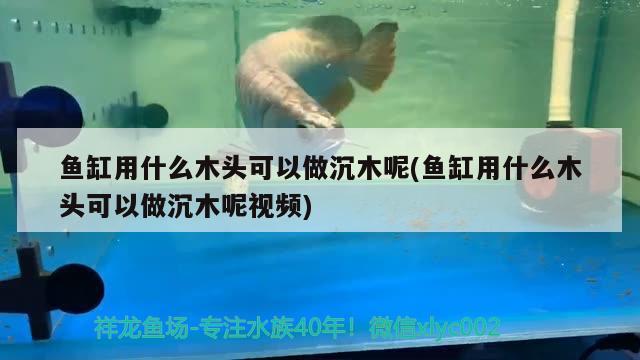 魚缸用什么木頭可以做沉木呢(魚缸用什么木頭可以做沉木呢視頻)