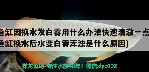 魚缸因換水發(fā)白霧用什么辦法快速清澈一點(diǎn)(魚缸換水后水變白霧渾濁是什么原因)