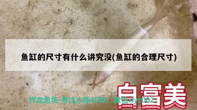 魚缸的尺寸有什么講究沒(魚缸的合理尺寸) 虎魚魚苗