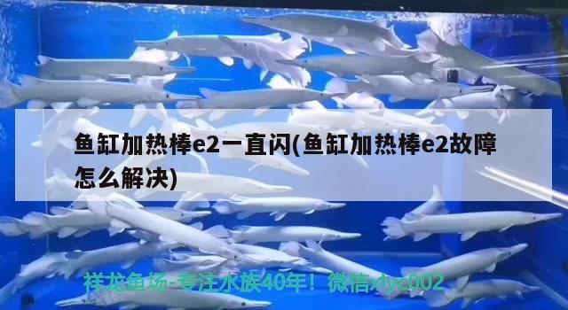 魚缸加熱棒e2一直閃(魚缸加熱棒e2故障怎么解決) 短身紅龍魚