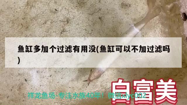 魚缸多加個(gè)過(guò)濾有用沒(méi)(魚缸可以不加過(guò)濾嗎)