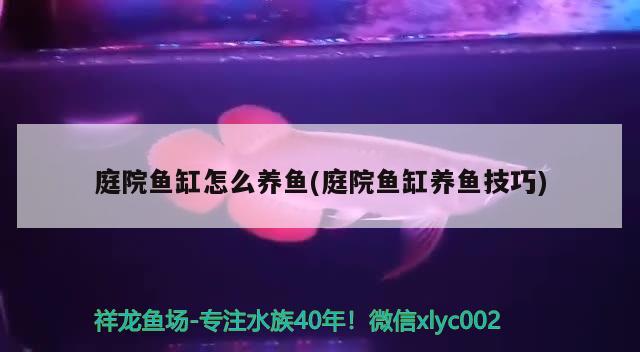 天津市北辰區(qū)宜興埠東街工業(yè)器材、東風(fēng)專用設(shè)備、東風(fēng)專用設(shè)備制造（東風(fēng)專用設(shè)備科技有限公司300402電話號(hào)碼） 錦鯉池魚池建設(shè) 第3張