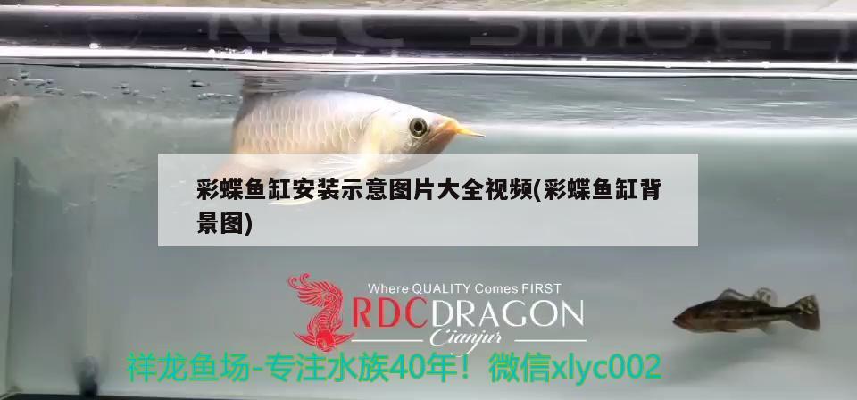 彩蝶魚缸安裝示意圖片大全視頻(彩蝶魚缸背景圖) 雙線側(cè)魚