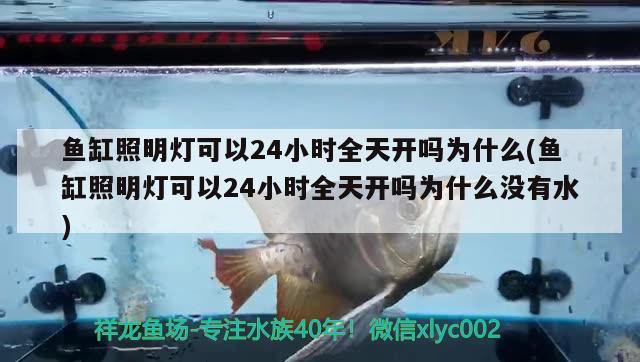 魚缸照明燈可以24小時(shí)全天開(kāi)嗎為什么(魚缸照明燈可以24小時(shí)全天開(kāi)嗎為什么沒(méi)有水) 造景/裝飾