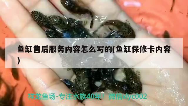 魚缸售后服務(wù)內(nèi)容怎么寫的(魚缸保修卡內(nèi)容) 刀魚魚