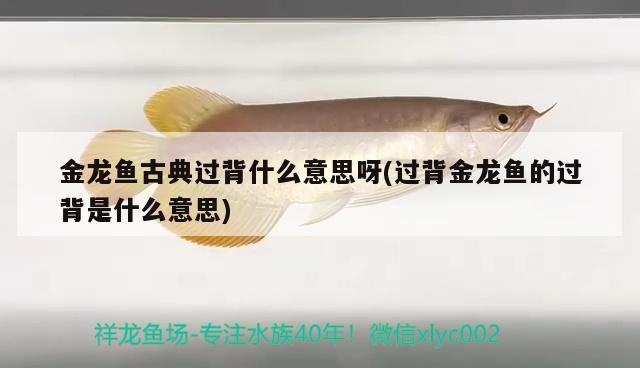 森森魚缸面板怎么拆（森森魚缸怎么拆外殼） 廣州龍魚批發(fā)市場 第2張