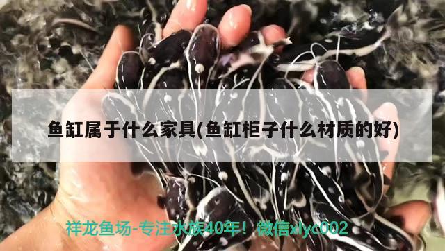 魚缸屬于什么家具(魚缸柜子什么材質的好) 羅漢魚