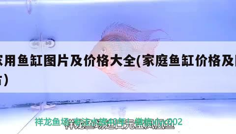 家用魚(yú)缸圖片及價(jià)格大全(家庭魚(yú)缸價(jià)格及圖片) 福虎/異型虎魚(yú)/純色虎魚(yú)