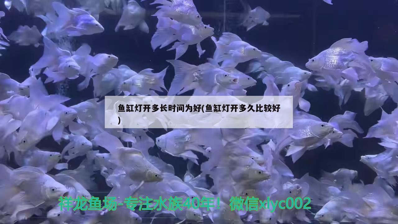 魚缸燈開多長(zhǎng)時(shí)間為好(魚缸燈開多久比較好) 伊巴卡魚