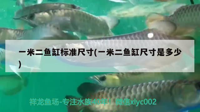 一米二魚缸標(biāo)準(zhǔn)尺寸(一米二魚缸尺寸是多少)