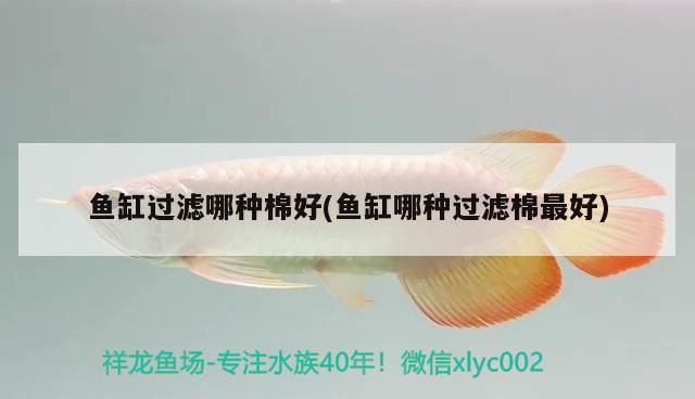 魚(yú)缸過(guò)濾哪種棉好(魚(yú)缸哪種過(guò)濾棉最好)