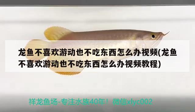 大連亞克力魚缸定做廠家都有哪些，大連森森魚缸哪里能買到