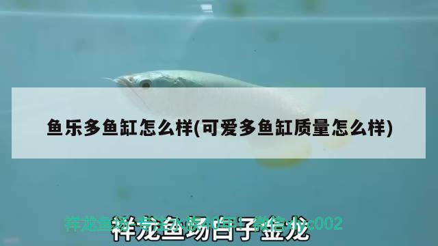 魚樂多魚缸怎么樣(可愛多魚缸質(zhì)量怎么樣) 皇冠黑白魟魚