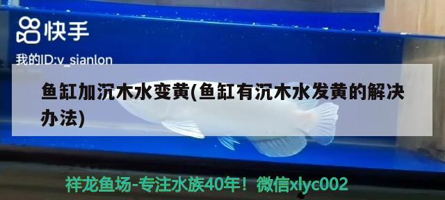 魚(yú)缸過(guò)濾耗材有哪些品牌的(魚(yú)缸過(guò)濾材料什么牌子的好)