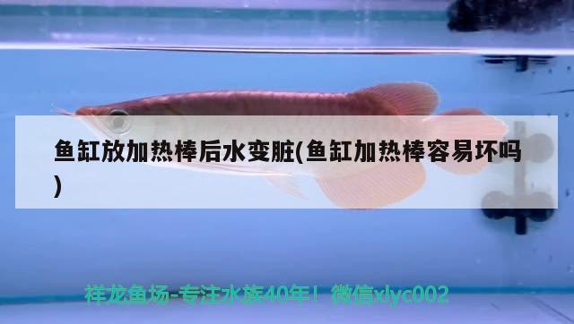 魚缸放加熱棒后水變臟(魚缸加熱棒容易壞嗎)