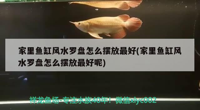 家里魚缸風(fēng)水羅盤怎么擺放最好(家里魚缸風(fēng)水羅盤怎么擺放最好呢) 魚缸風(fēng)水