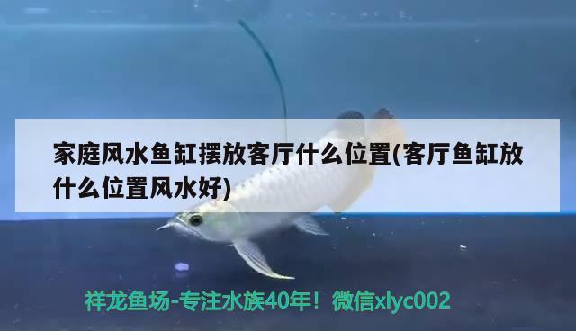 家庭風水魚缸擺放客廳什么位置(客廳魚缸放什么位置風水好) 魚缸風水