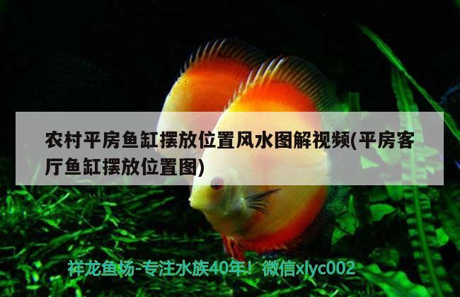 農(nóng)村平房魚(yú)缸擺放位置風(fēng)水圖解視頻(平房客廳魚(yú)缸擺放位置圖) 魚(yú)缸風(fēng)水