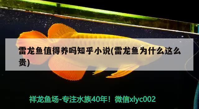 張家港哪里有賣魚缸的地方啊 張家港哪里有賣魚缸的地方啊圖片 虎魚百科 第2張