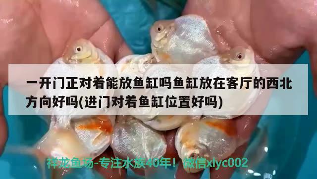 一開門正對著能放魚缸嗎魚缸放在客廳的西北方向好嗎(進(jìn)門對著魚缸位置好嗎) 魚缸風(fēng)水