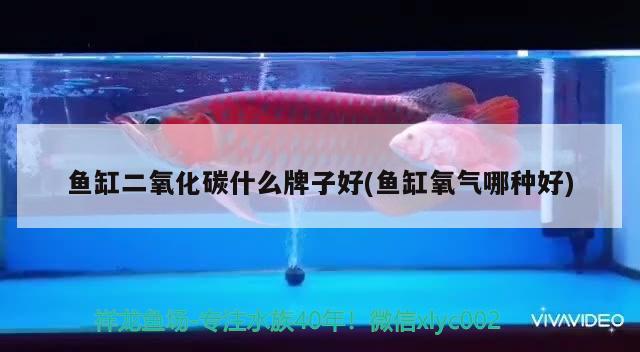 魚缸二氧化碳什么牌子好(魚缸氧氣哪種好) 二氧化碳設(shè)備