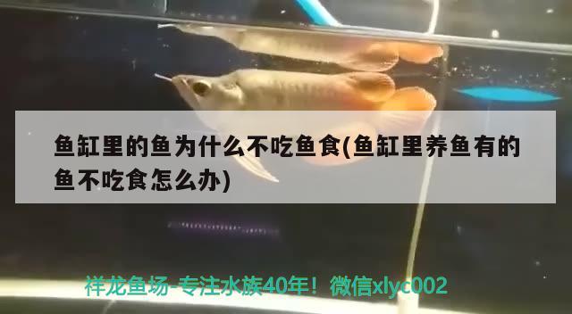 品牌魚缸使用年限是多少年的：2021魚缸品牌排行榜