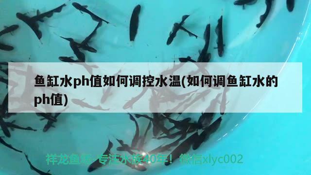 魚缸水ph值如何調(diào)控水溫(如何調(diào)魚缸水的ph值) 硝化細菌