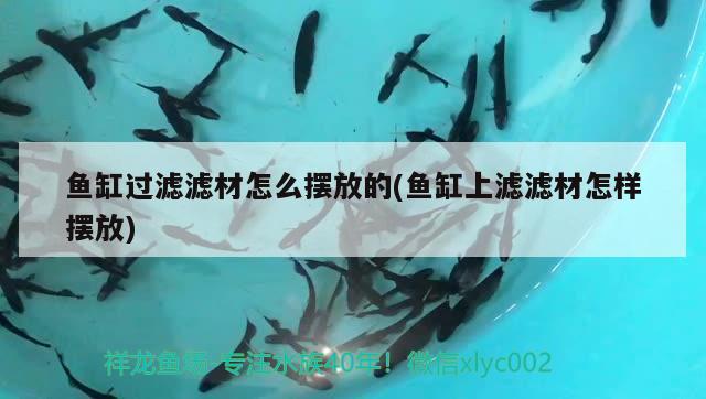 魚缸過濾濾材怎么擺放的(魚缸上濾濾材怎樣擺放) 龍鳳鯉魚