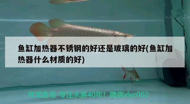 魚缸加熱器不銹鋼的好還是玻璃的好(魚缸加熱器什么材質(zhì)的好) 廣州水族器材濾材批發(fā)市場(chǎng)