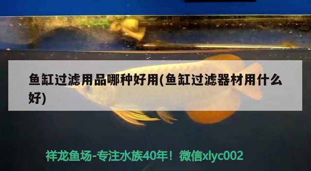 魚缸過濾用品哪種好用(魚缸過濾器材用什么好)