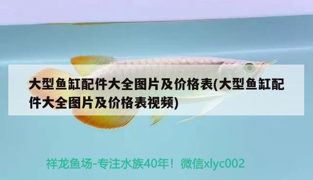 大型魚缸配件大全圖片及價(jià)格表(大型魚缸配件大全圖片及價(jià)格表視頻) 熊貓異形魚L46