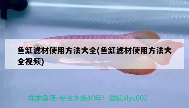 魚缸濾材使用方法大全(魚缸濾材使用方法大全視頻) iwish愛唯希品牌魚缸