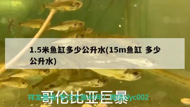 1.5米魚缸多少公升水(15m魚缸多少公升水) ?；?異型虎魚/純色虎魚