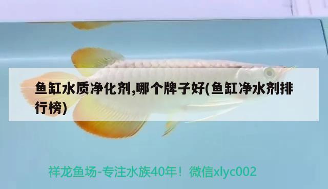 魚缸水質凈化劑,哪個牌子好(魚缸凈水劑排行榜)