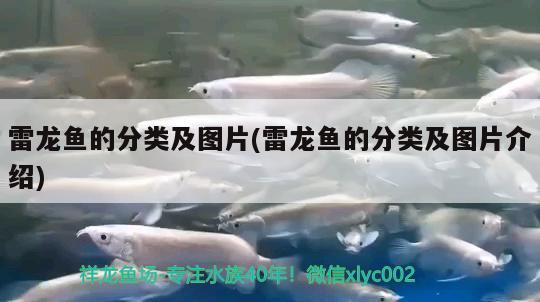 濟寧魚缸廠家地址電話號碼查詢大全濟寧魚缸廠家地址電話號碼查詢大全，濟寧魚缸廠家地址電話號碼查詢