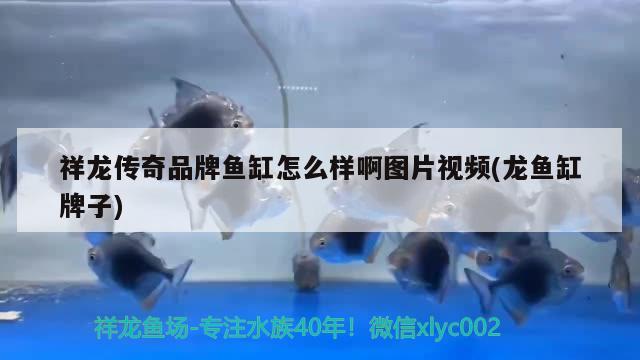 阿勒泰觀賞魚市場修息幾天開始啪啪