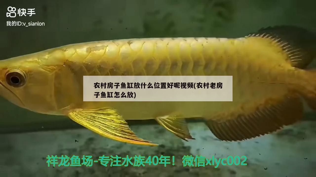 農(nóng)村房子魚缸放什么位置好呢視頻(農(nóng)村老房子魚缸怎么放) 魚缸水泵