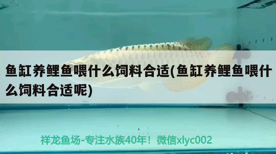 周末必修課…換水 觀賞魚論壇 第2張