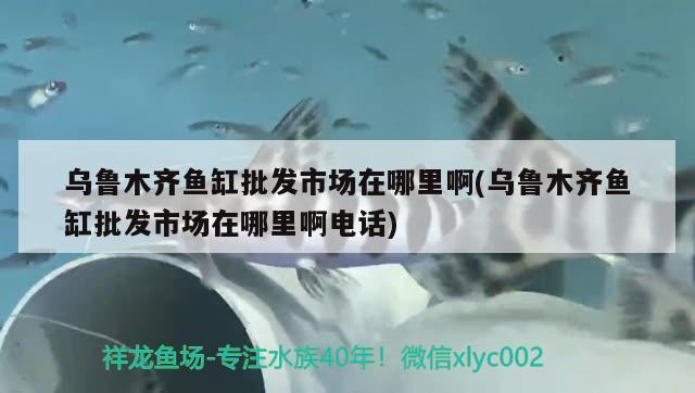 烏魯木齊魚缸批發(fā)市場(chǎng)在哪里啊(烏魯木齊魚缸批發(fā)市場(chǎng)在哪里啊電話) 觀賞魚水族批發(fā)市場(chǎng)