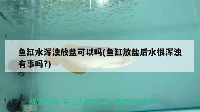 龍魚掉眼有什么辦法嗎(龍魚掉眼怎么回事)