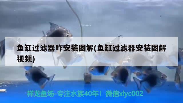 廣州水族館手機(jī)APP問(wèn)題 金龍魚(yú)糧 第2張