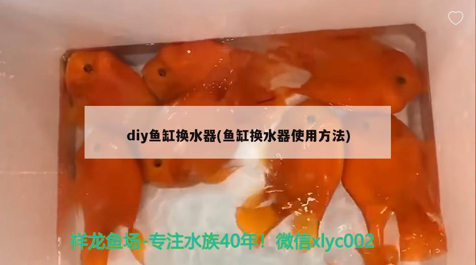 diy魚缸換水器(魚缸換水器使用方法) 斑馬鴨嘴魚