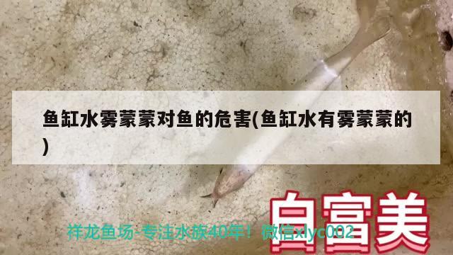 柳州水族批發(fā)市場在哪里進貨的好柳州水族批發(fā)市場的優(yōu)勢摘要，柳州水族批發(fā)市場在哪里