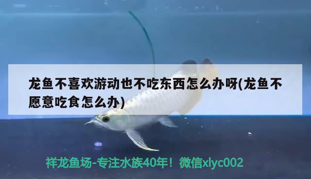 包頭市青山區(qū)周紅梅魚飼料經(jīng)銷店 全國水族館企業(yè)名錄 第2張