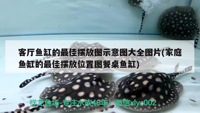 客廳魚缸的最佳擺放圖示意圖大全圖片(家庭魚缸的最佳擺放位置圖餐桌魚缸) 黑金魟魚